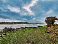 IMG_0065