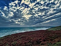 IMG_0077