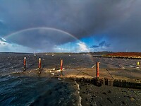 IMG_0083