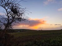 IMG_0078