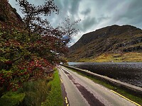 IMG_0154