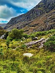 IMG_0150