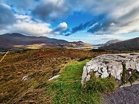 IMG_0139