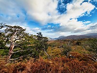 IMG_0138
