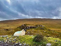 IMG_0168