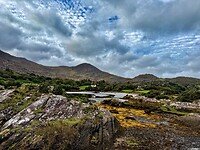 IMG_0174