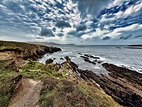 IMG_0181