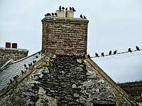 IMG_0206