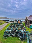 IMG_0208