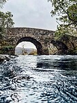 IMG_0222