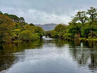 IMG_0221