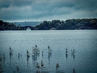 IMG_0220