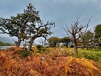 IMG_0219