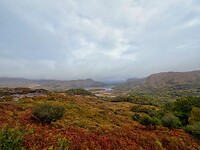 IMG_0217