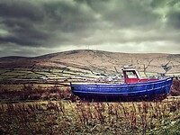 IMG_0239