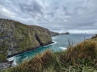 IMG_0270
