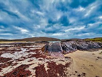 IMG_0282