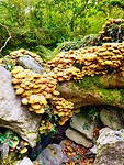 IMG_0300