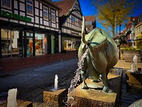 IMG_2893
