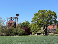 IMG_0768