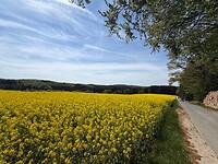 IMG_0787