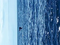 20190220_124405