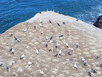 20190324_130124