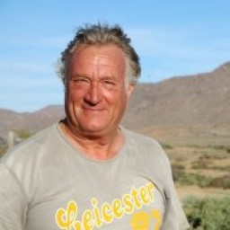 Bert van Heiningen