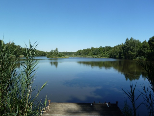 Onderweg naar Hautvillers Foto bert naar santiago