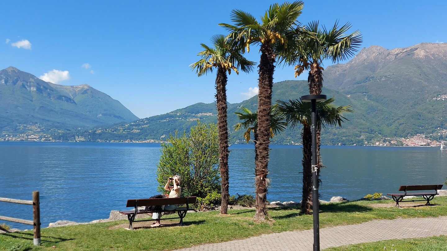 Bellano