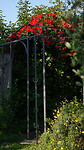 Tuin
