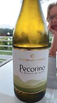 Pecorino