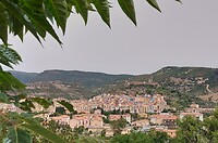 Bosa
