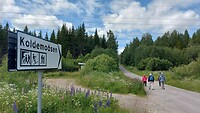 Koldemoåsen.