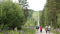 Koldemoåsen.