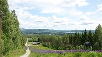 Koldemoåsen.