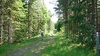 S:t Olavsleden