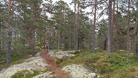over de Skämningsberger