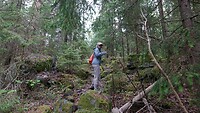 Skämningsöns naturreservat