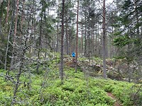 Skämningsöns naturreservat