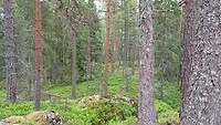 Skämningsöns naturreservat