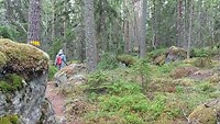 Skämningsöns naturreservat