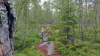 rotsen
