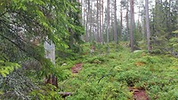 Vitsandsrundan