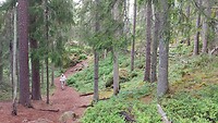 Stenkällerundan