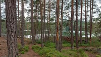 Stenkällerundan