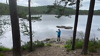 Stora Trehöningen