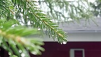 vertrek met regen
