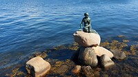 Den Lille Havfrue