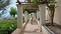 Giardino della Minerva, met een mooie wandelende tak